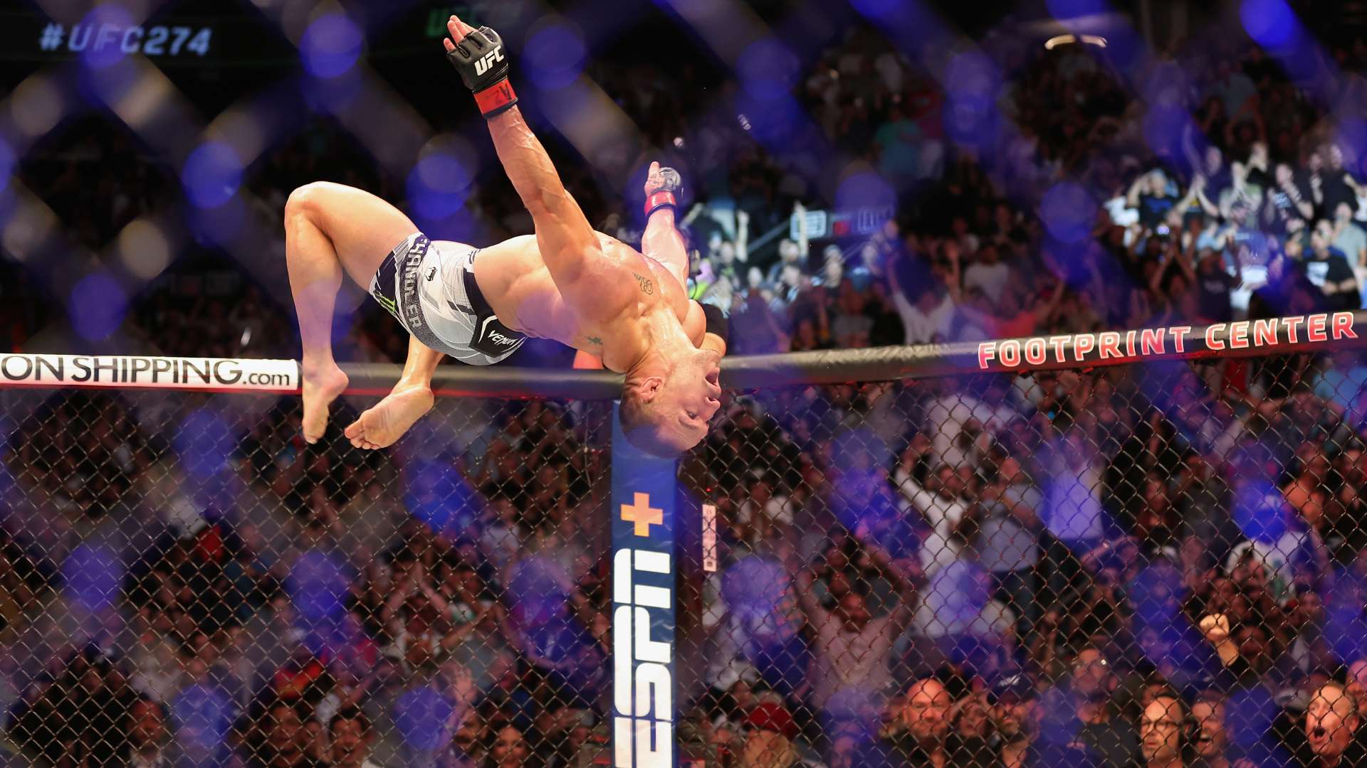 阵容的某些 阵容的某些